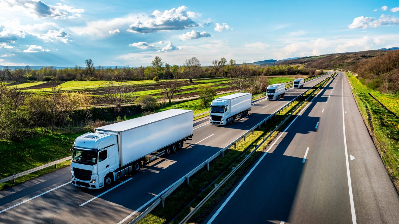 Convoy of white Trucks with containers on highway, cargo transportation concept in springtime - freight service