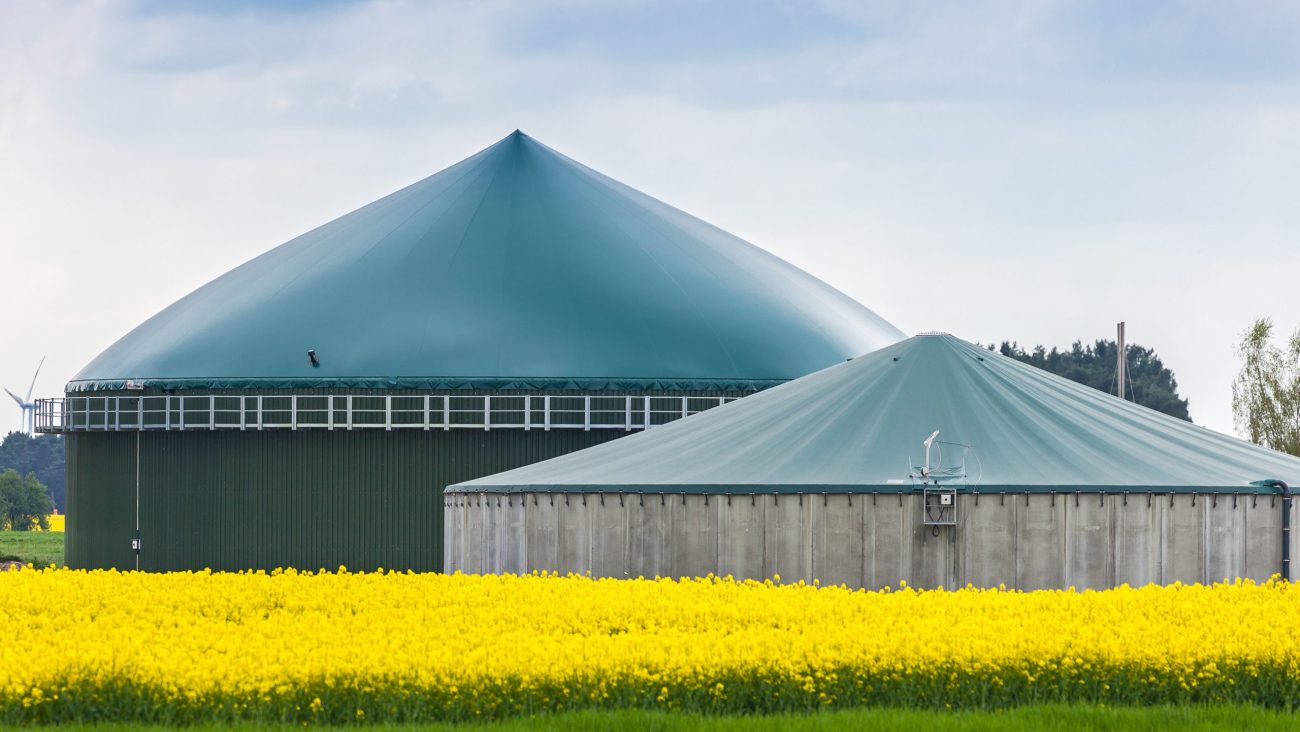 Biogas plant at the edge of a rape field in the German province Brandenburg (Germany).